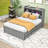 Dylahn Full-Size Modern Platform Bed with Twin Trundle, Drawers, and USB Ports-256398047