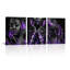 3 Piece Wrapped Canvas Set-15917722