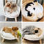 Kaela Round Pet Sofa-530154116