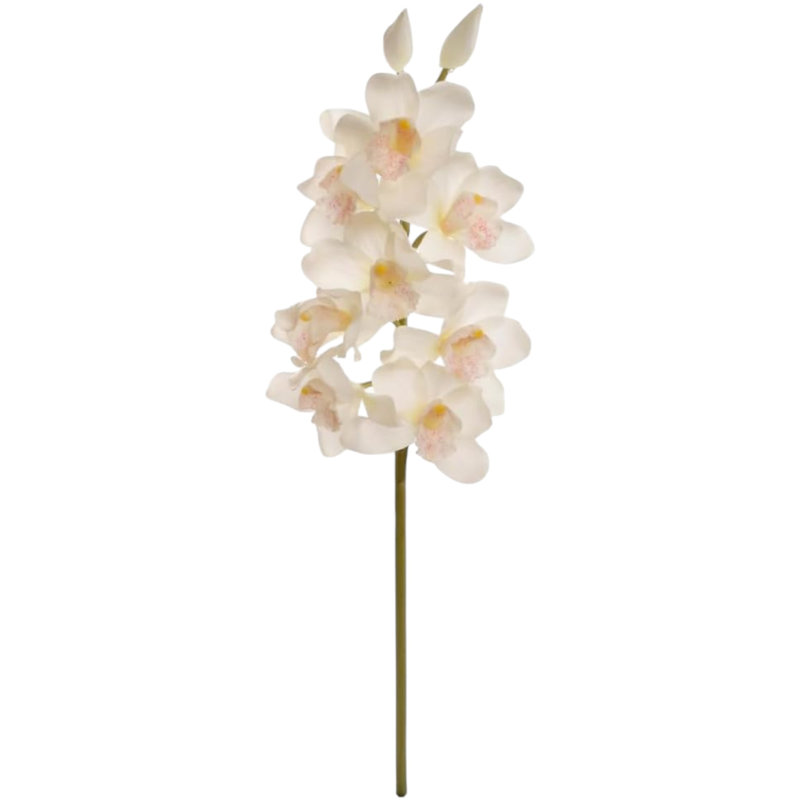 Tige d'orchidée 30 "Cymbidium 30" - paquet de 3