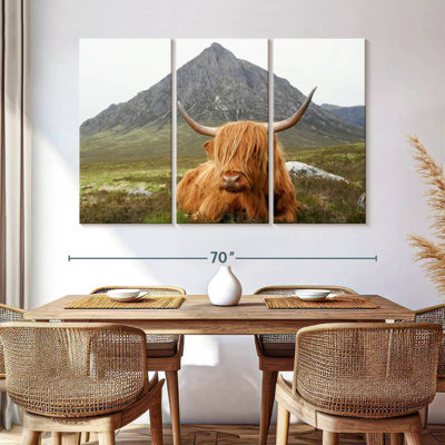 Vache sereine Brampt Highland