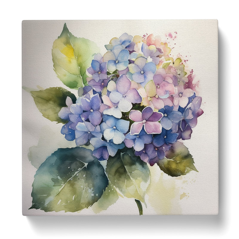 Hydrangea Watercolour - Wrapped Canvas, 50cm H x 50cm W x 3cm D