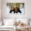 Adulte grizzly-107671337