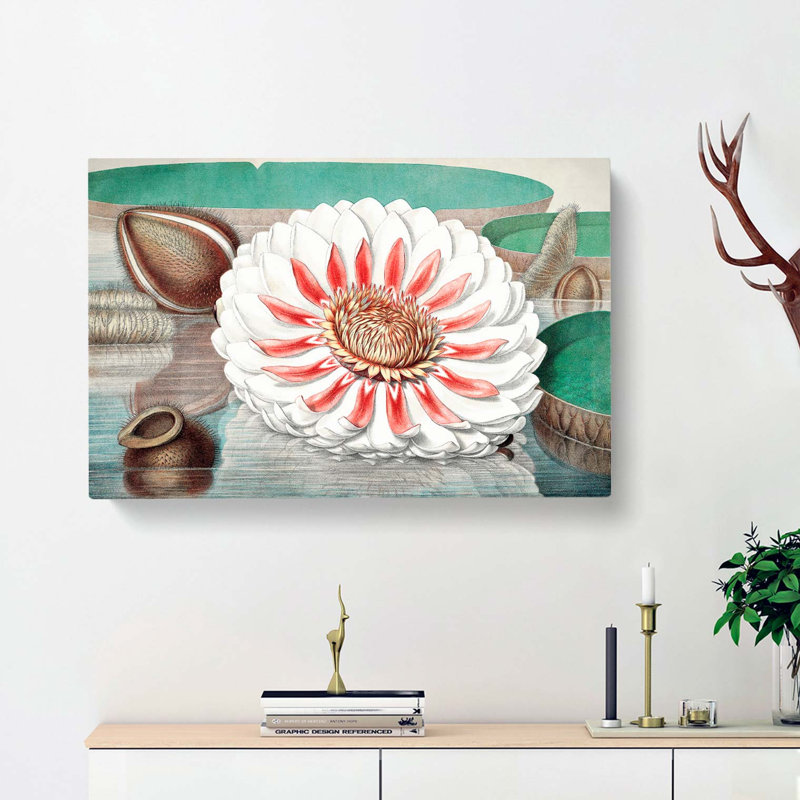 Gigantic Water Lily In Full Bloom by William Sharp - Wrapped Canvas Painting, 35cm H x 50cm W x 3cm D