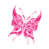 Fuchsia est en rupture de stock