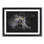 British Shorthair Cat In The Shadows Paint Splash - Picture Frame Graphic Art-56867096-56867097
