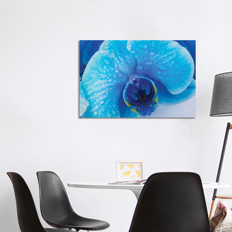 Blue Orchid III by Glauco Meneghelli - Print on Canvas, 20.32 cm H x 30.48 cm W, Wrapped Canvas