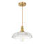 Luminaire suspendu 1 lumière Junathean