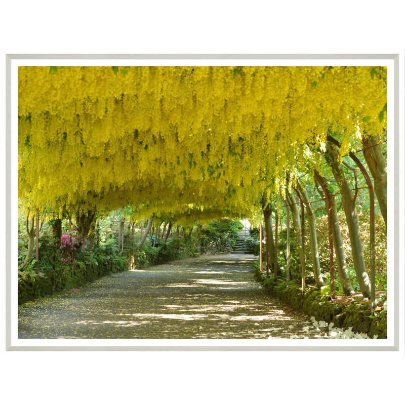 Landscape Field Giclee Print