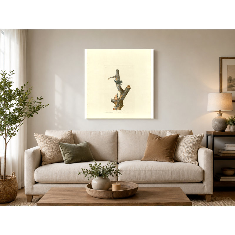 Sittelle à poitrine rousse (planche 105) - art mural carré sur toile, 16" W x 16" H