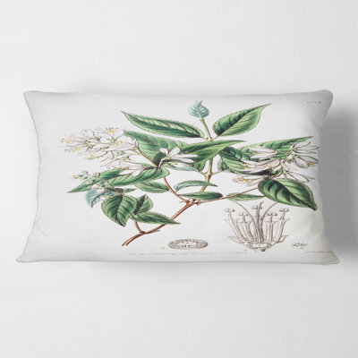 Coussin décoratif rétro Vintage Botanicals X