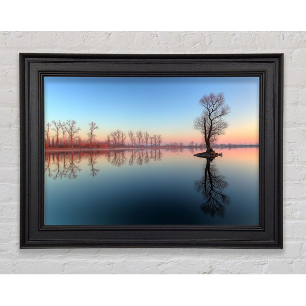 Ebern Designs Ice Cold Trees In The River - Single Picture Frame Print ...