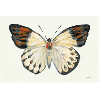 «Butterfly Study I», impression sur toile tendue