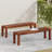Kawon 61.75'' BENCH( SET OF 2 )