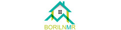 BORILNMR logo