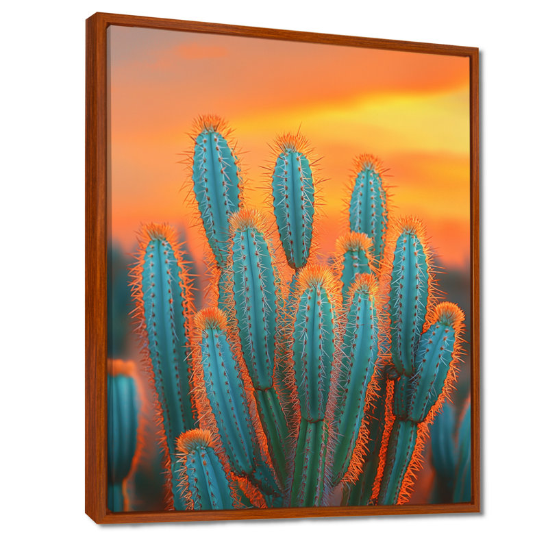 Mariques, Mexique, cactus au coucher du soleil - Cactus, impressions sur toile, H 20 po x l 12 po, Brun