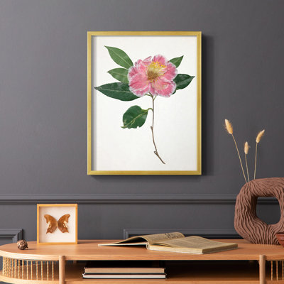«Pressed Camellia I», reproduction encadrée - bois massif