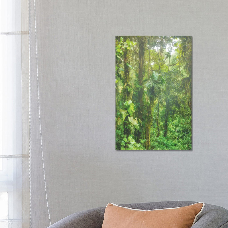 Jungle Mist by Mark Paulda - Print on Canvas, 66.04cm H x 45.72cm W x 1.91cm D, Wrapped Canvas