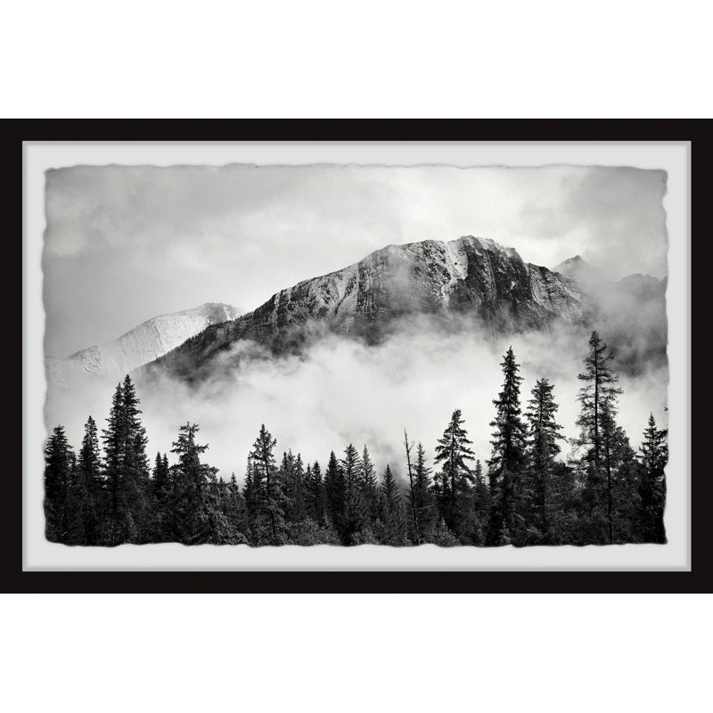 " Forest On Fog ", 30" H x 45" W x 1.5" D