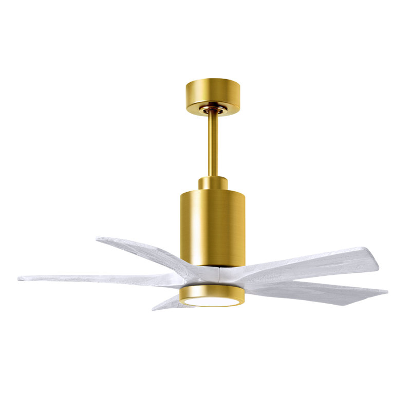 Patricia LED Downrod Ceiling Fan, Matte White, Brushed Brass