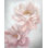 To Make You Blush Painting by Jacob Lincoln