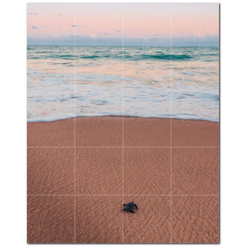 Tortue photo 8 x 8