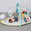 Baby Gym Mat