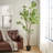 Artificial Pieris Tree-329392502