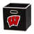 Badgers de Wisconsin