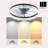 Dusen 19.7 in. Ceiling Fan with LED Lights