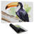 Toucan perched  - 14.00"x24.25" Desk mat