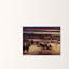 1 Piece Wrapped Canvas Painting-21212750