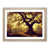 Oak Framed
