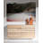 Clad 55'' W 6 - Drawer Dresser-24320432