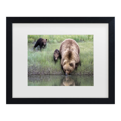 Bolog Renee Doyle  Thirsty Work Matted Framed Art