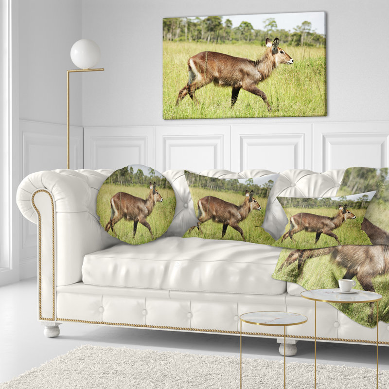 Coussin lombaire en herbe antilope waterbuck africain