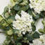 Couronne florale d'hortensia 24 po pour porte d'entrée Spring Spring Eucalyptus