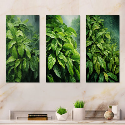 Tea Leaves Tale
