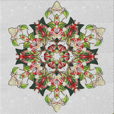 Indoor Rug