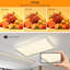 1 - Light 90cm Rectangular LED Dimmable Flush Mount
