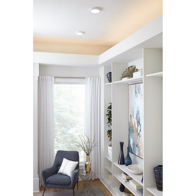 Ingleside Plastic LED Flush Mount