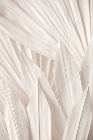 Wrapped Canvas Print, 50.8cm H x 76.2cm W