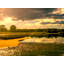 Where The River Meets The Sea Print by Tom Kostes