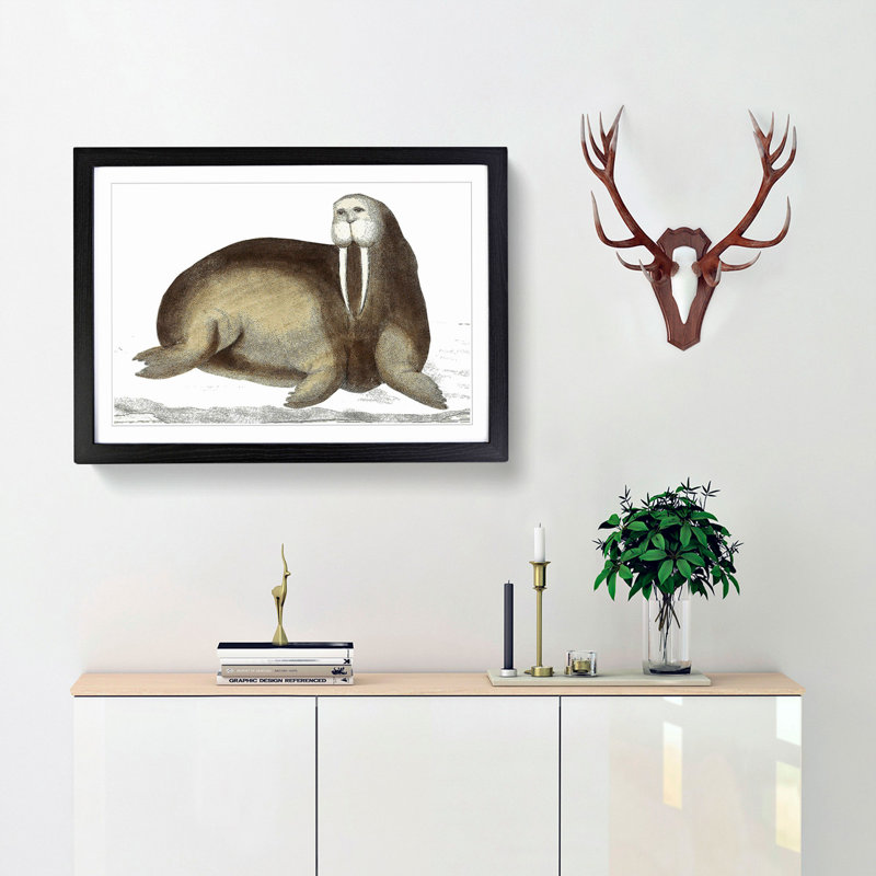 Arctic Walrus by George Shaw - Picture Frame Painting, Black, 40cm H x 60cm W x 2cm D