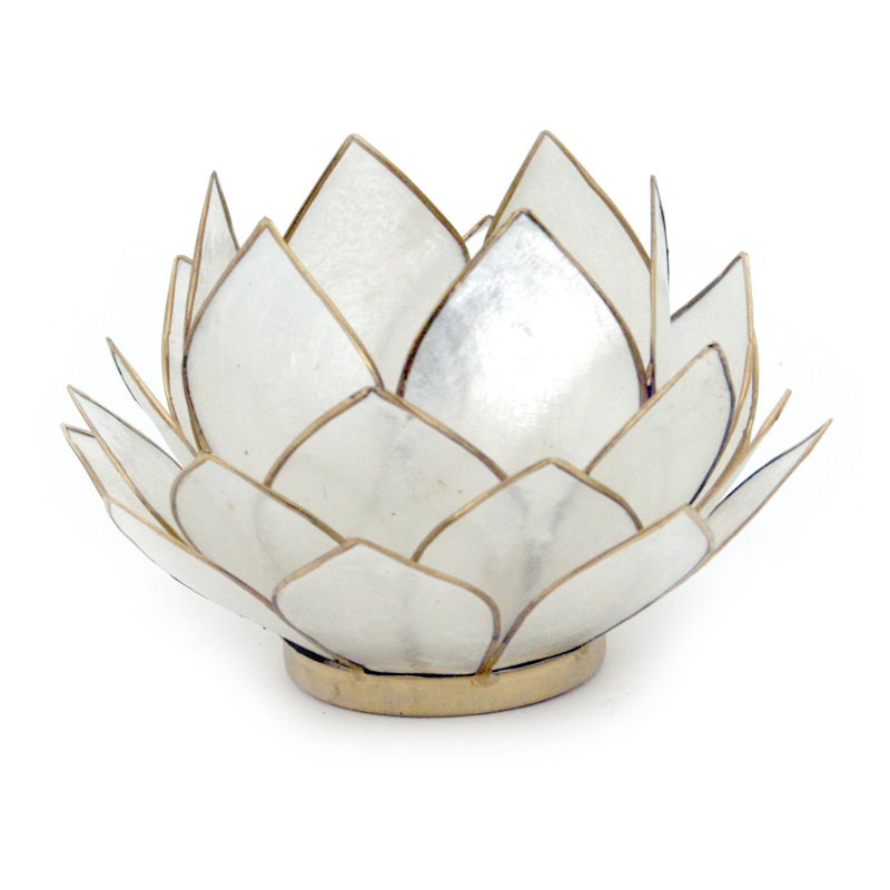 Porte-bougie bougie fleur de lotus Capiz, Blanc