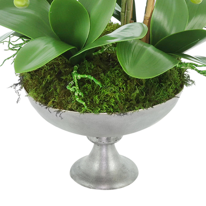 Orchid Arrangement in Metal Pedestal Vase
