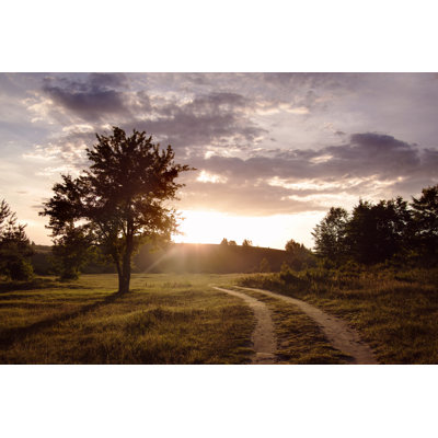 Champ et chemin de terre au coucher du soleil par Oleh_Slobodeniuk