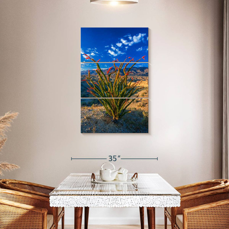 Harnek Ocotillo à Anza Borrego
