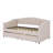 Upholstered Twin Size Daybed With Two Drawers-397663937