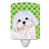 Bichon maltais de face